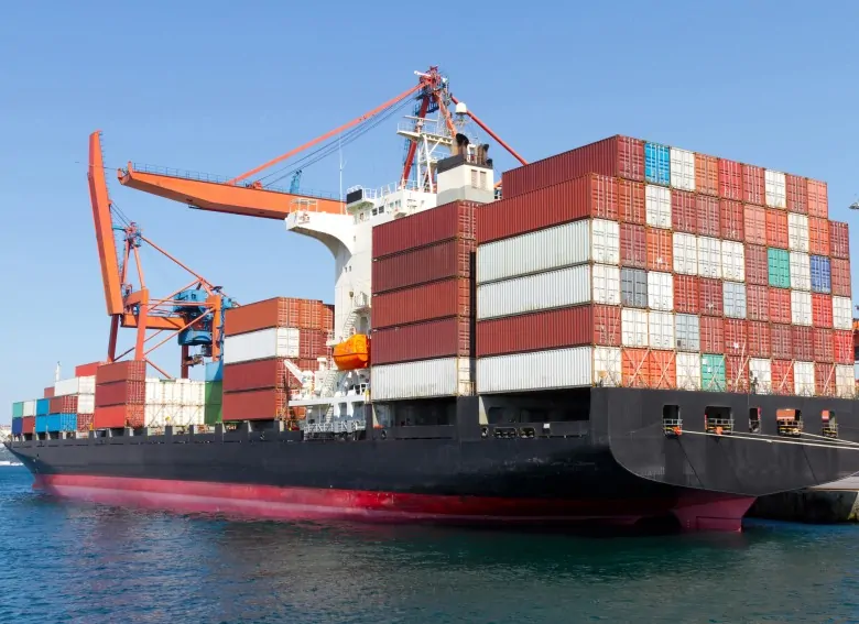 Expert Export Shipping from India